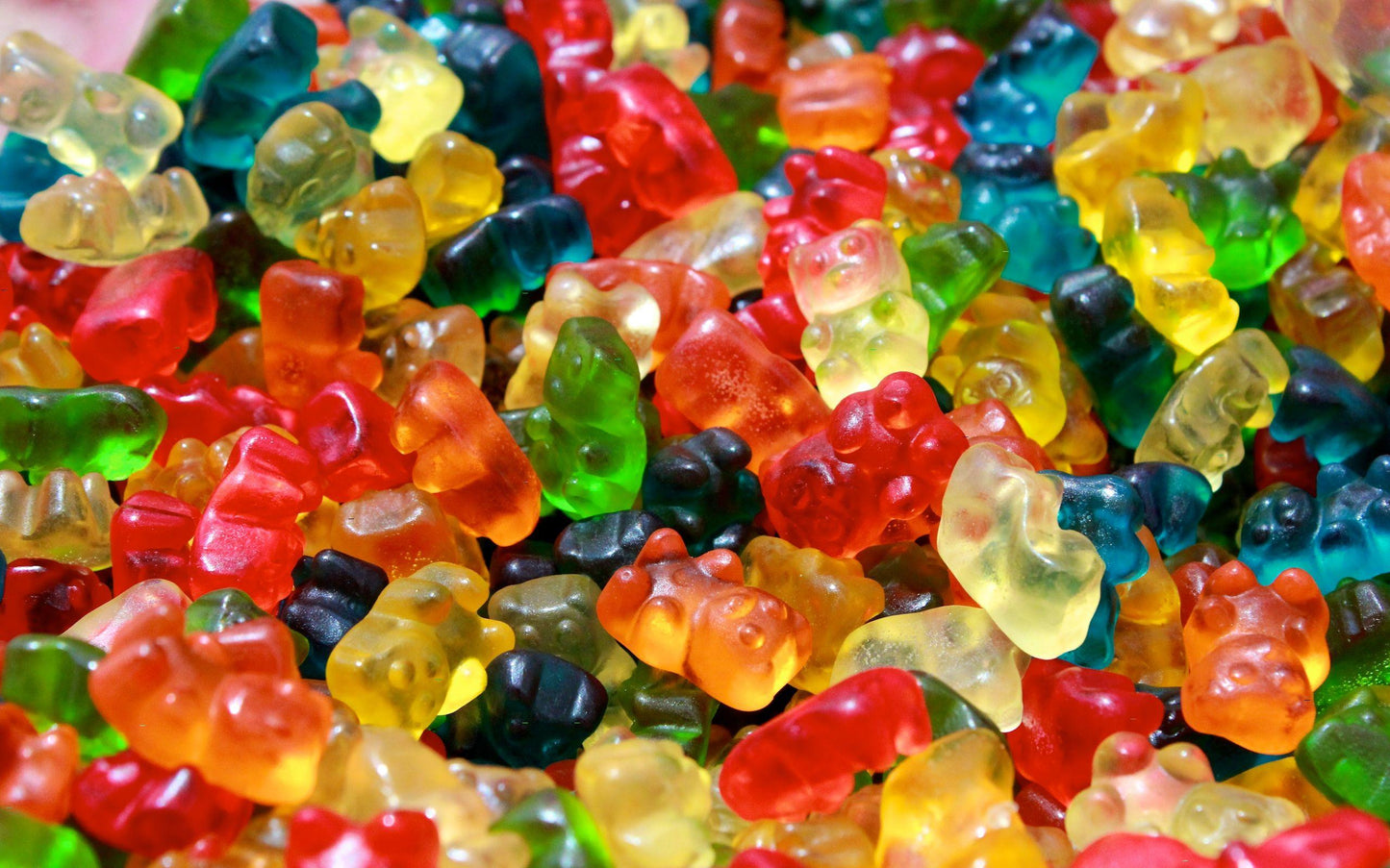 Bear-ly There Bites